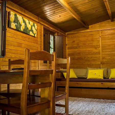 Xisto Camping Janeiro de Baixo 외부 사진