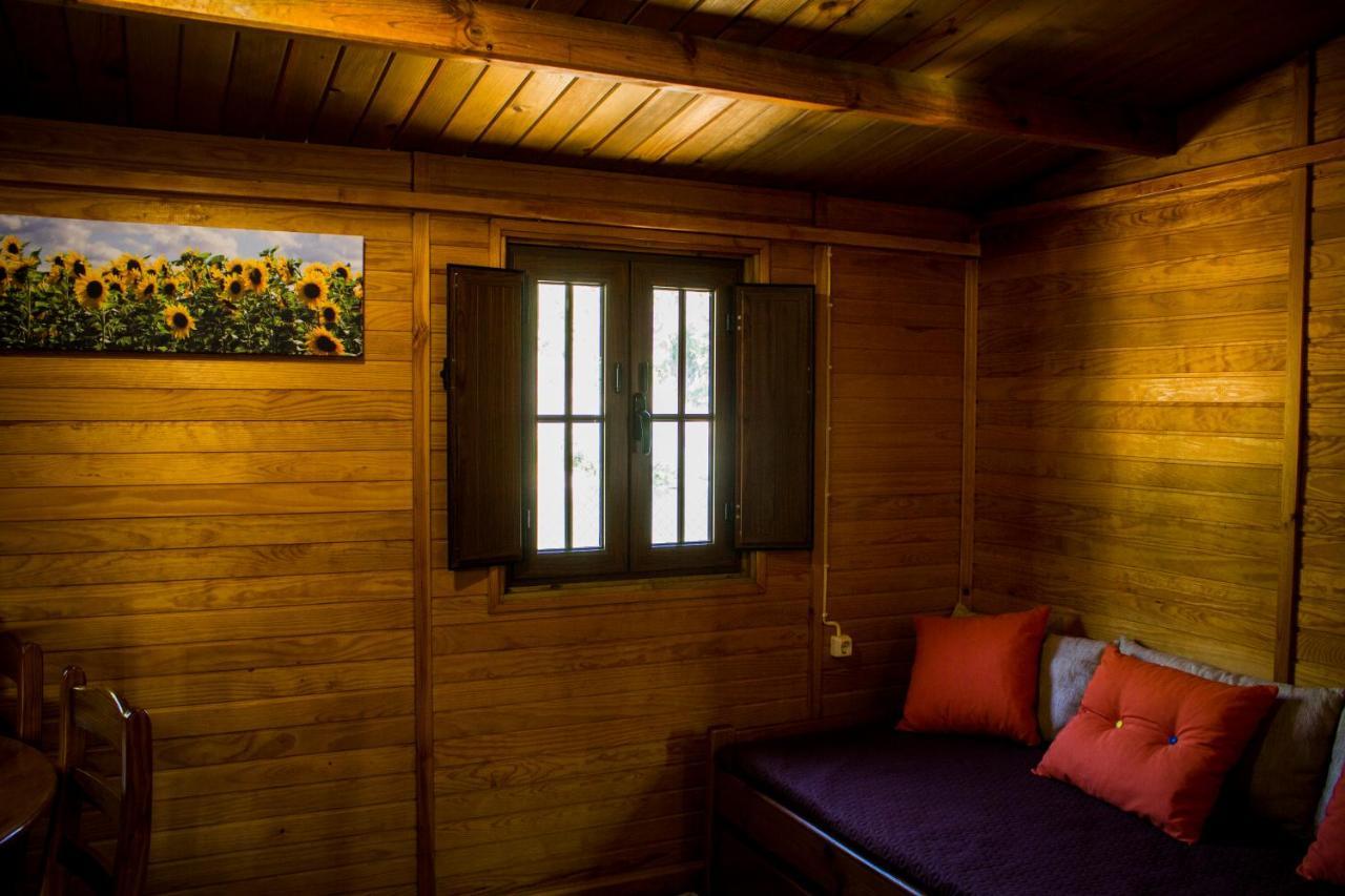 Xisto Camping Janeiro de Baixo 외부 사진