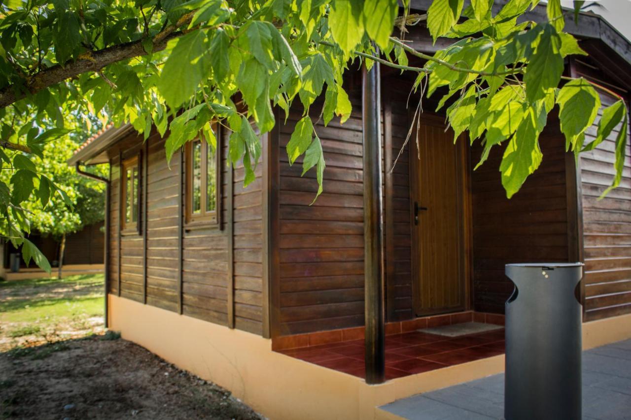 Xisto Camping Janeiro de Baixo 외부 사진