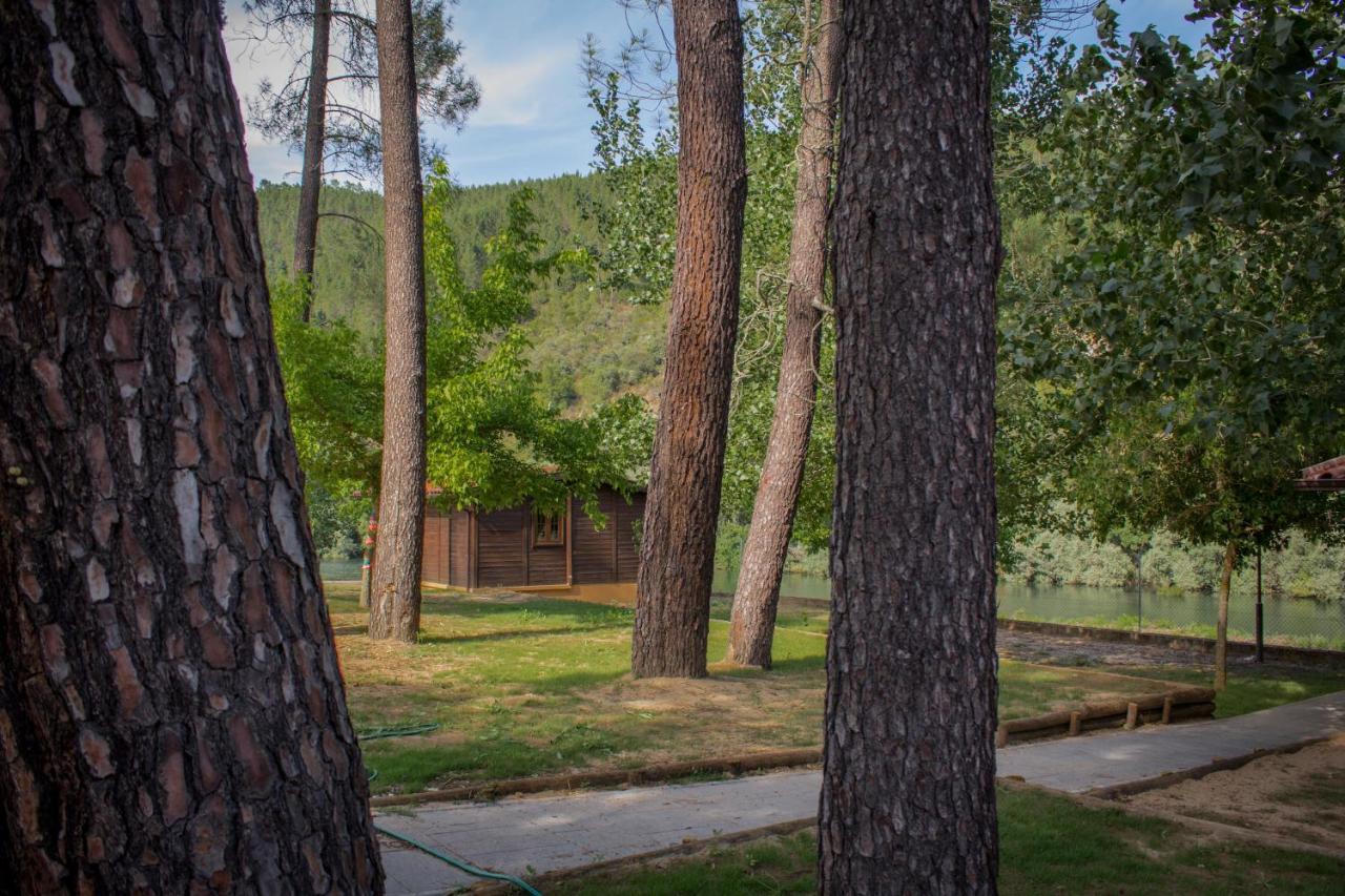 Xisto Camping Janeiro de Baixo 외부 사진